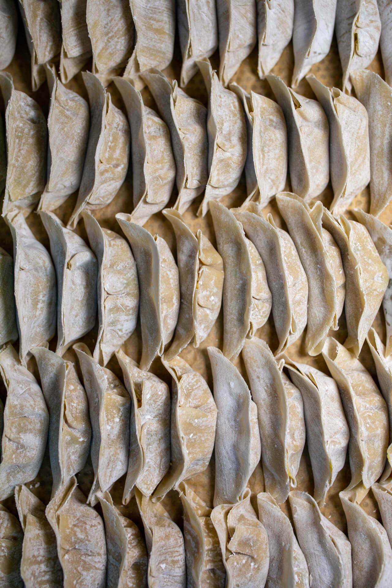 Des gyozas bien alignés pour mettre en avant le restaurant sur ses réseaux sociaux réalisé par l'agence de publicité EB à Nantes (44200)