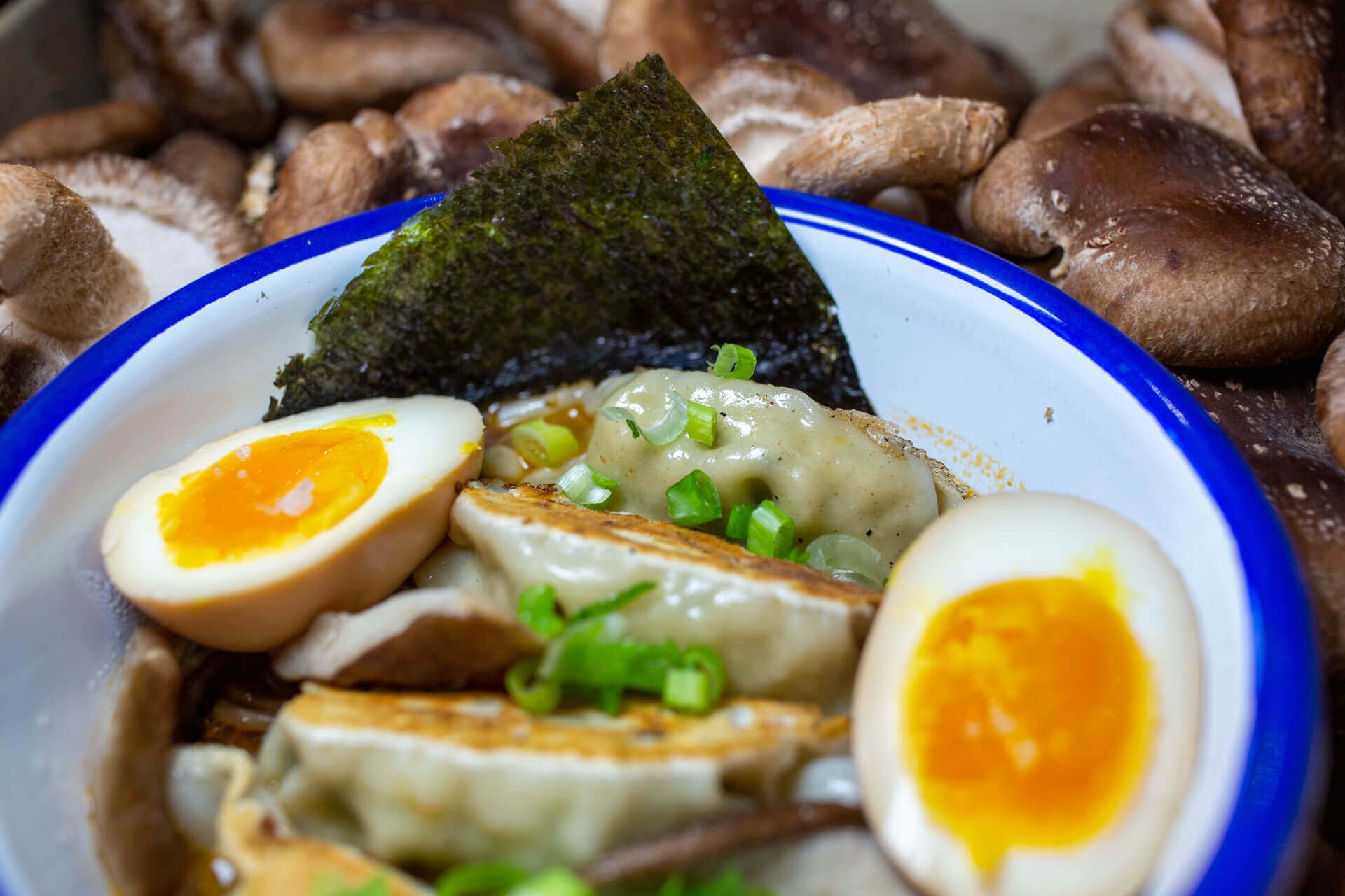 Un bowl de gyoza pour les réseaux soicaux du restaurant My Gyoza à Nantes (44000) réalisé par l'agence de marketing digital EB à Nantes (44200)