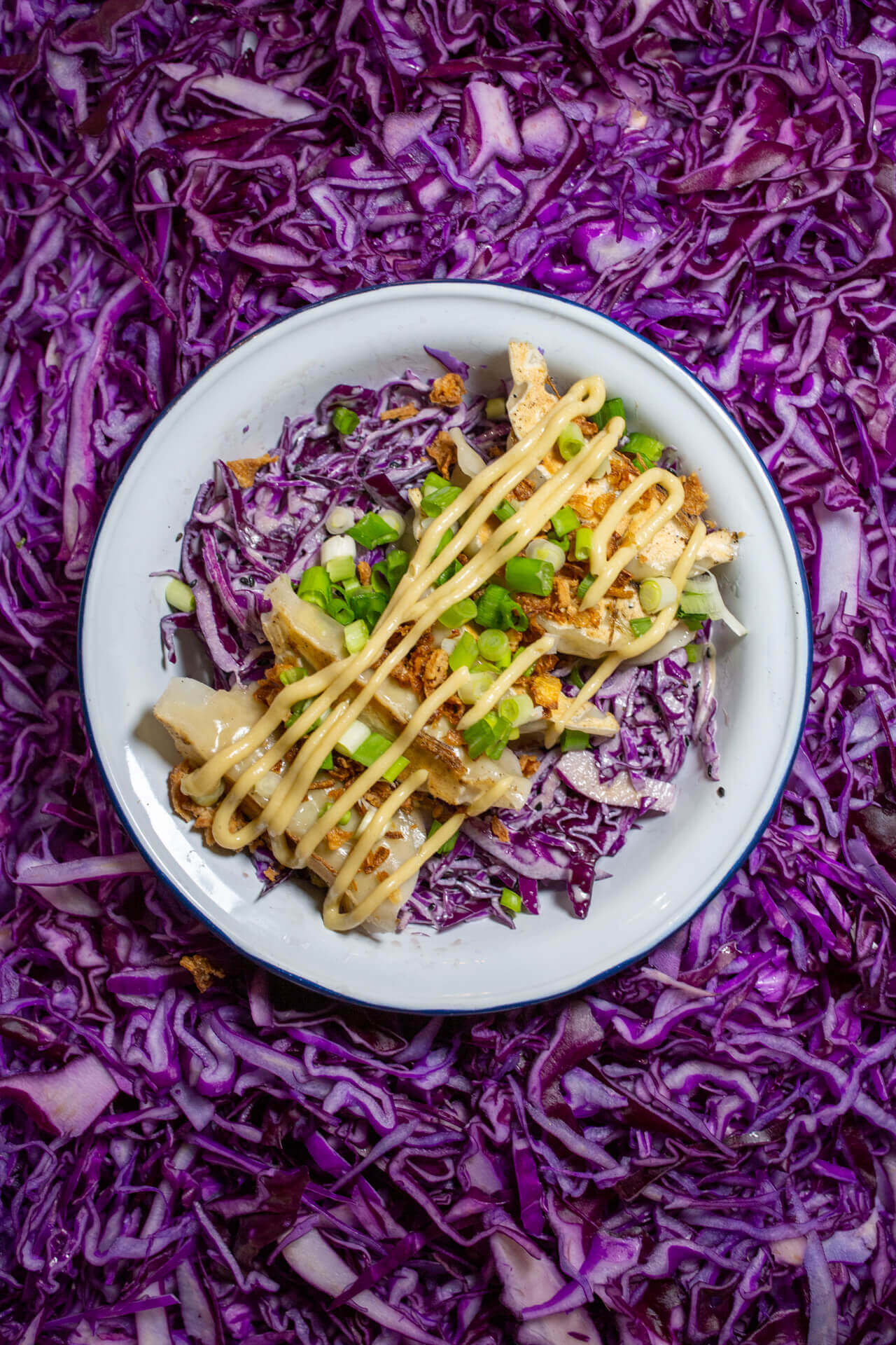 Photo d'un bowl dans du choux pour le site internet du restaurant My gyoza à Nantes (44000) réalisé par l'agence de publicité EB à Nantes (44200)